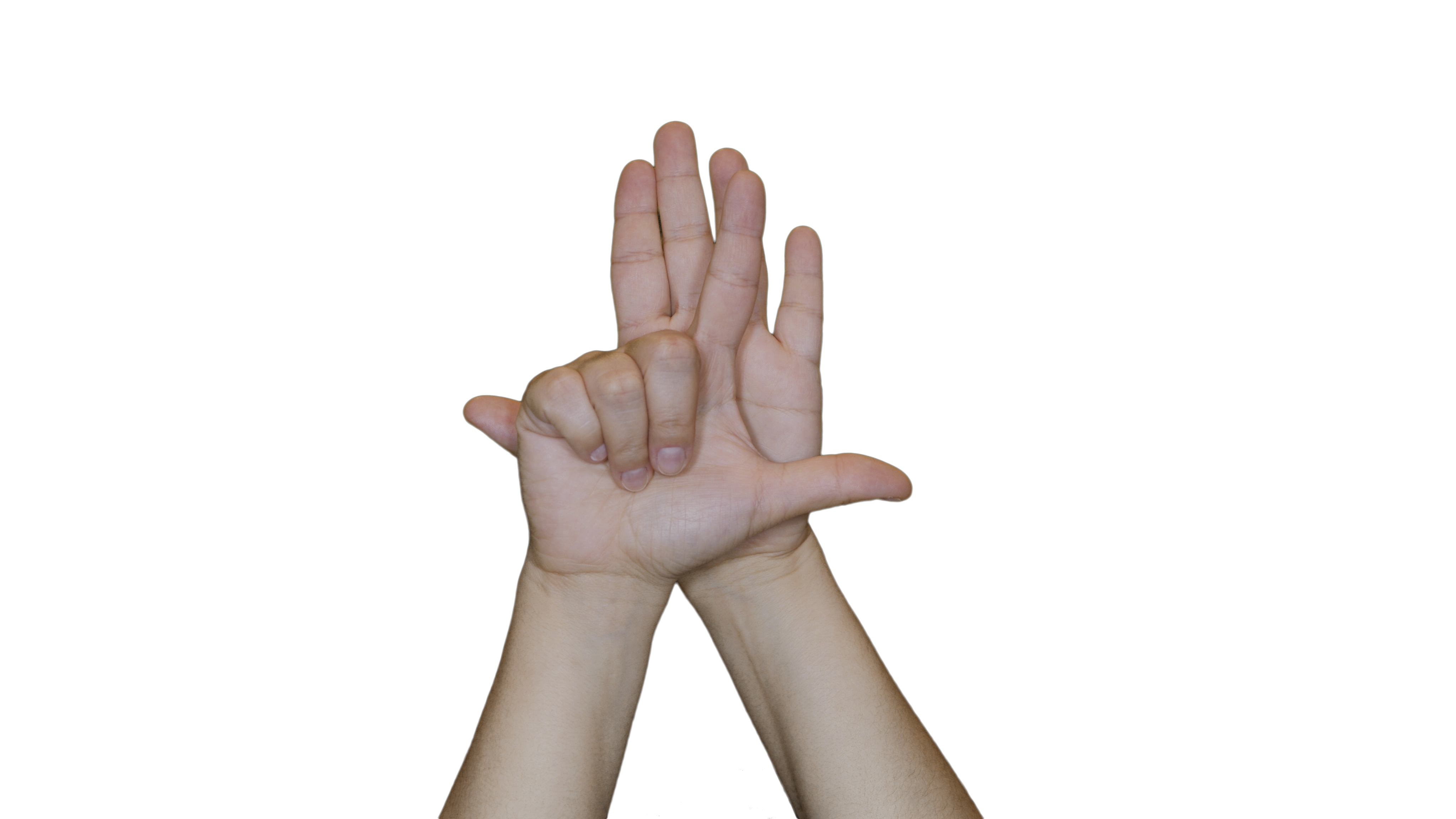 mão direita espalmada na vertical, com mão esquerda na frente com os dedos polegar e indicador levantados e os outros abaixados, fazendo o sinal de Lei em Libras.